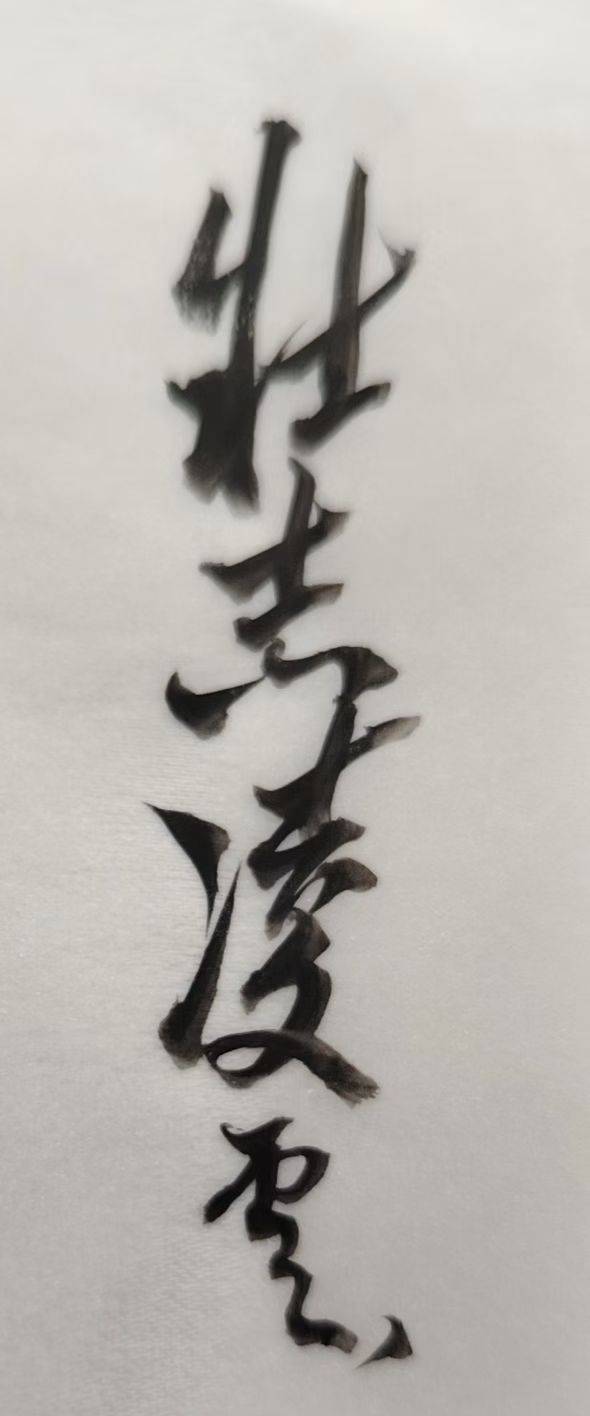 壮志凌云